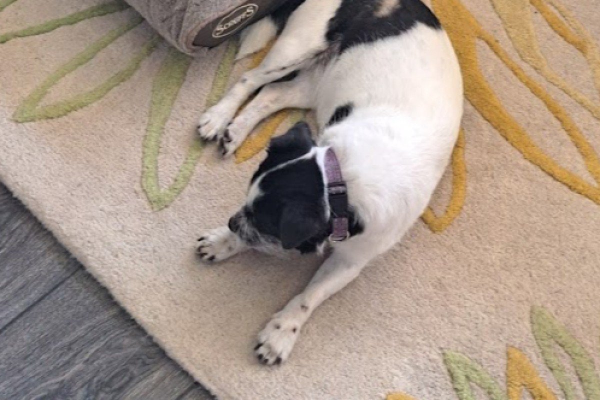 Maya