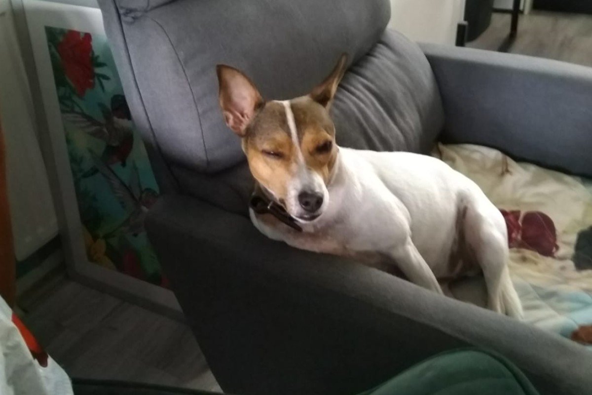 Milo
