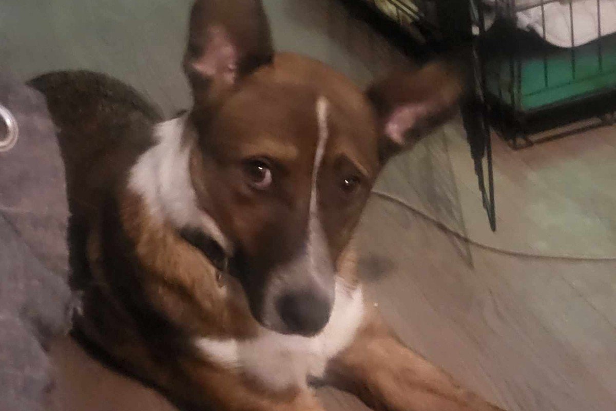 Axel