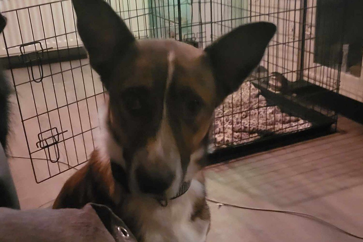 Axel