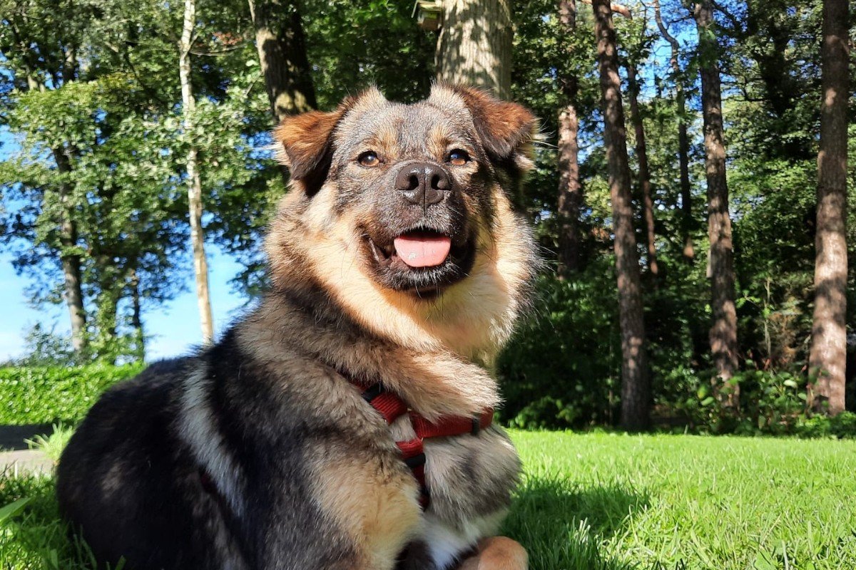 Floss de waterkoningin