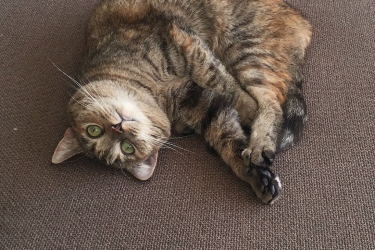 Bobbi