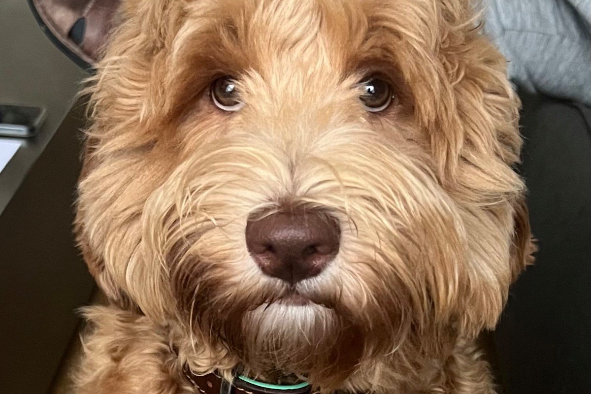 Billy