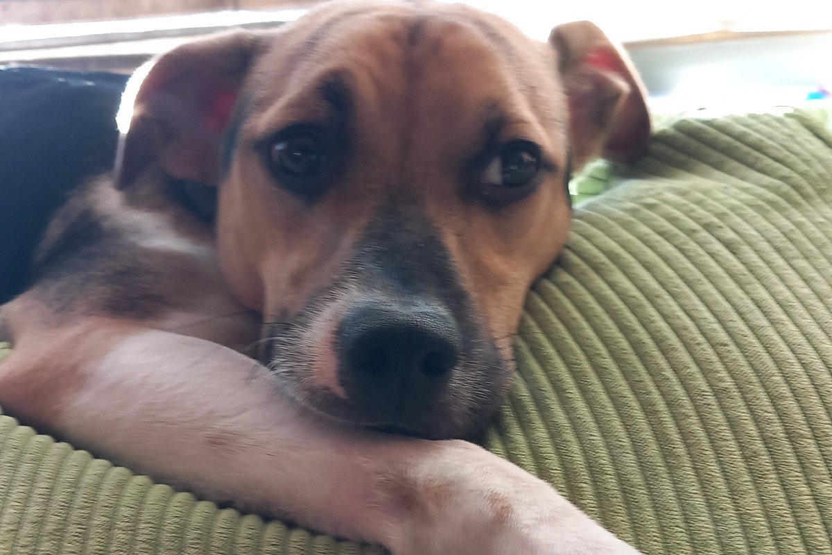 Max