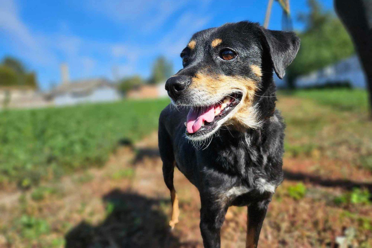 Gabby