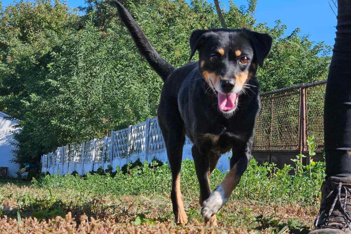 Gabby