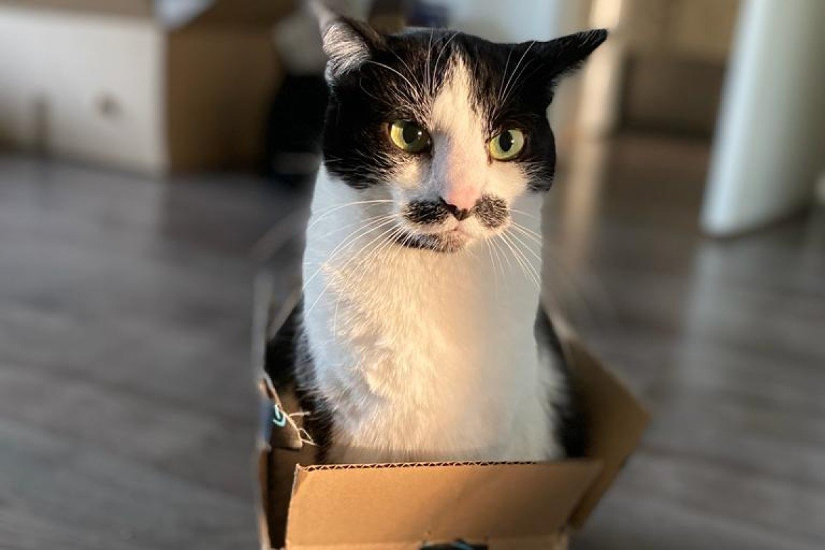 Charlie