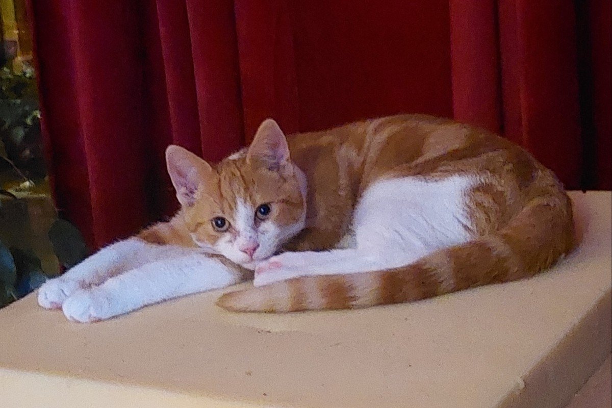Pietje
