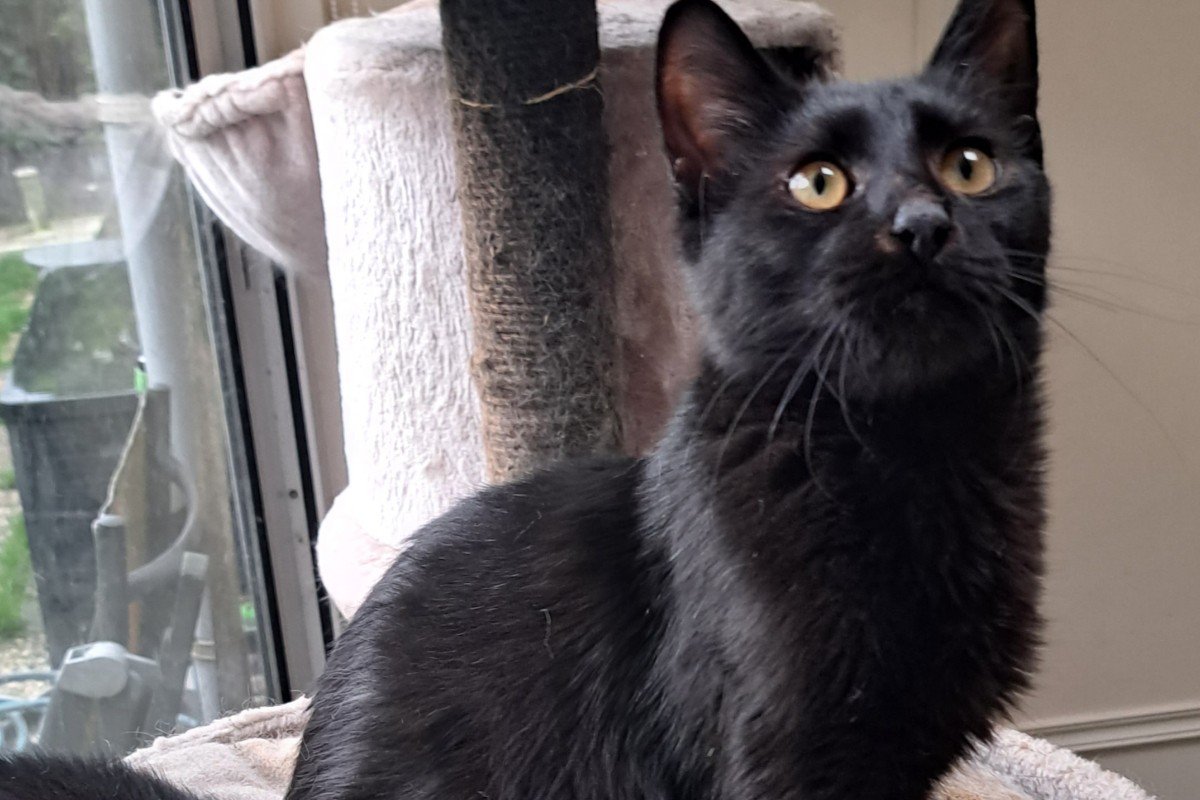 Berlioz