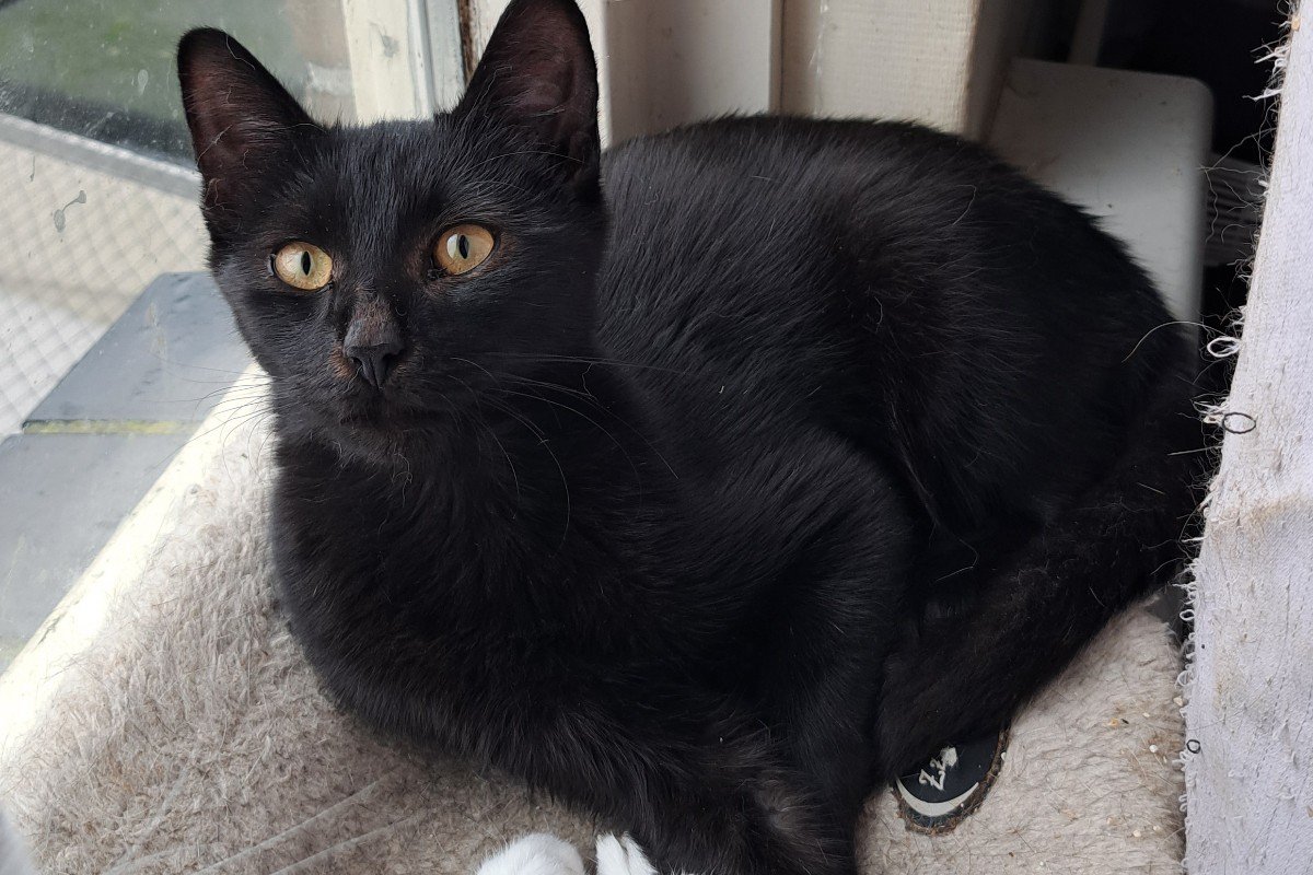 Berlioz