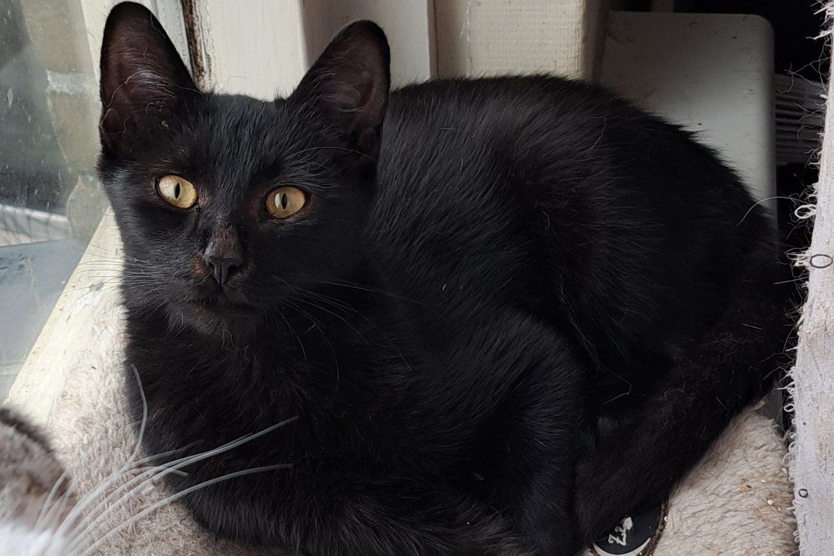 Berlioz