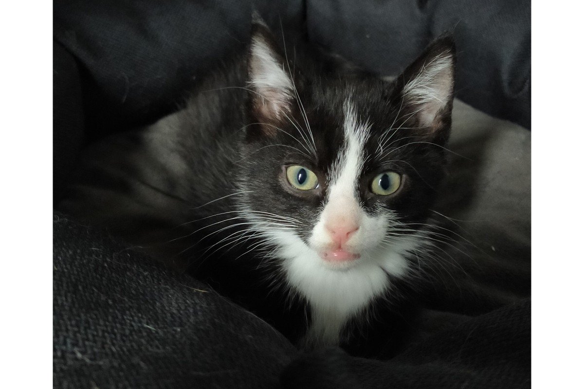 Rocky