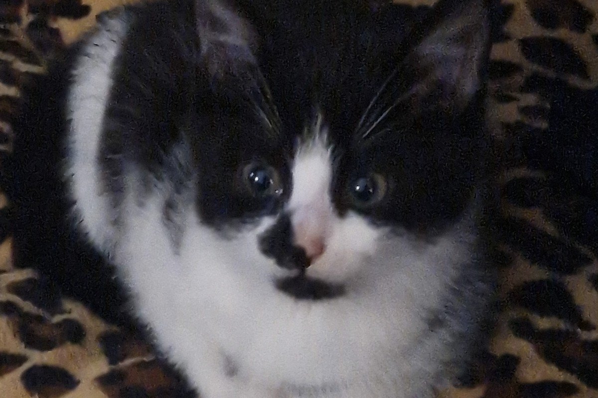 Nina