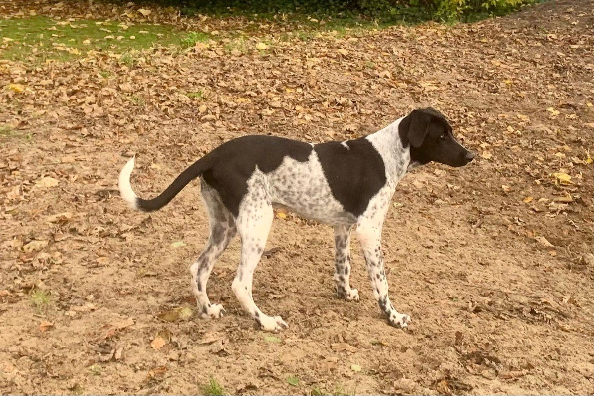 Max