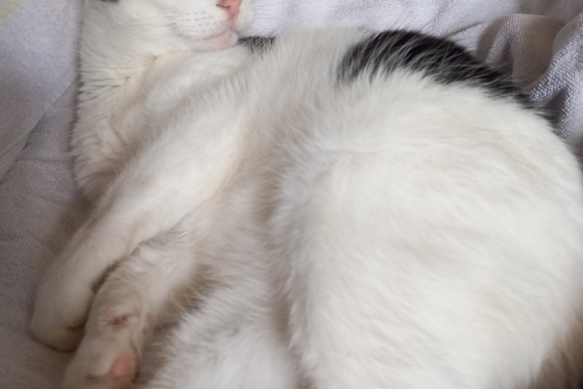 Eddie