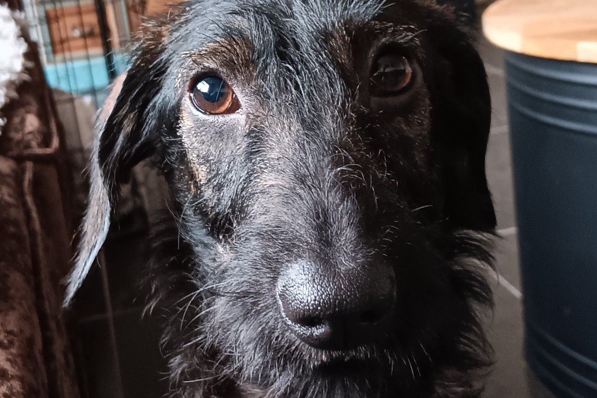 Jax