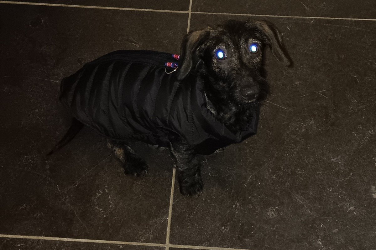 Jax