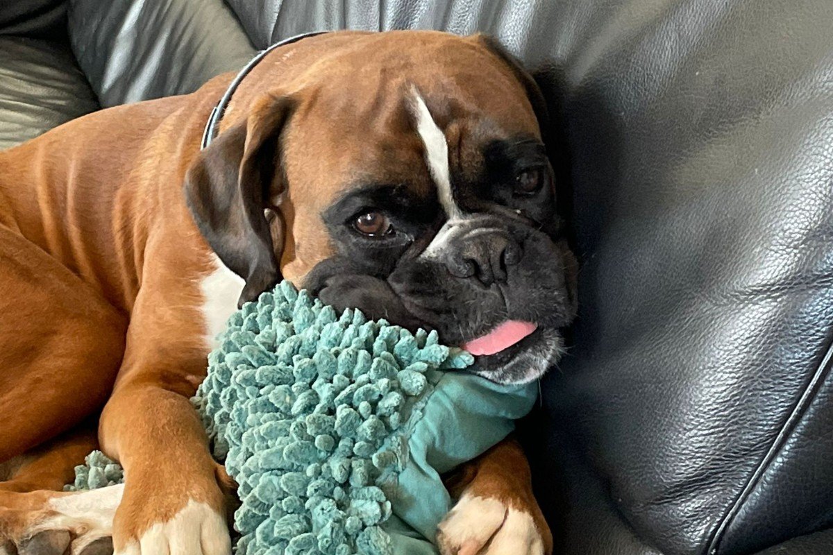Lennox