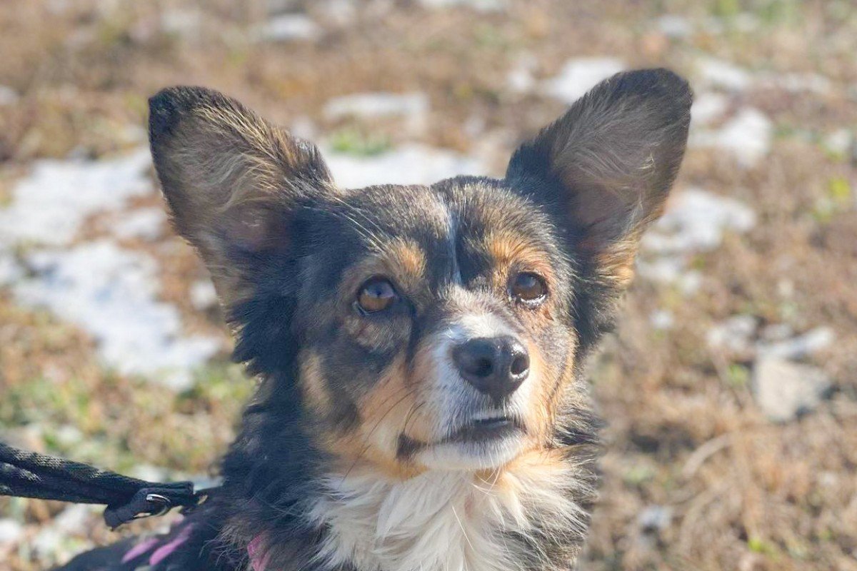Tina