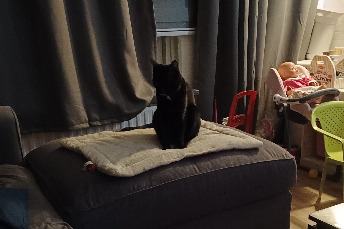 Oreo