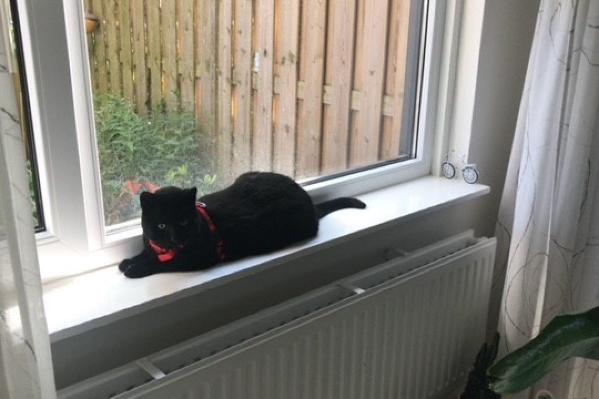Pablo