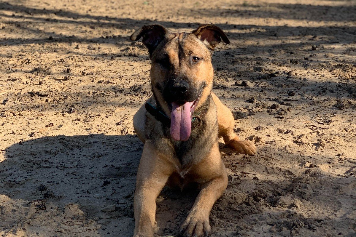 Buster