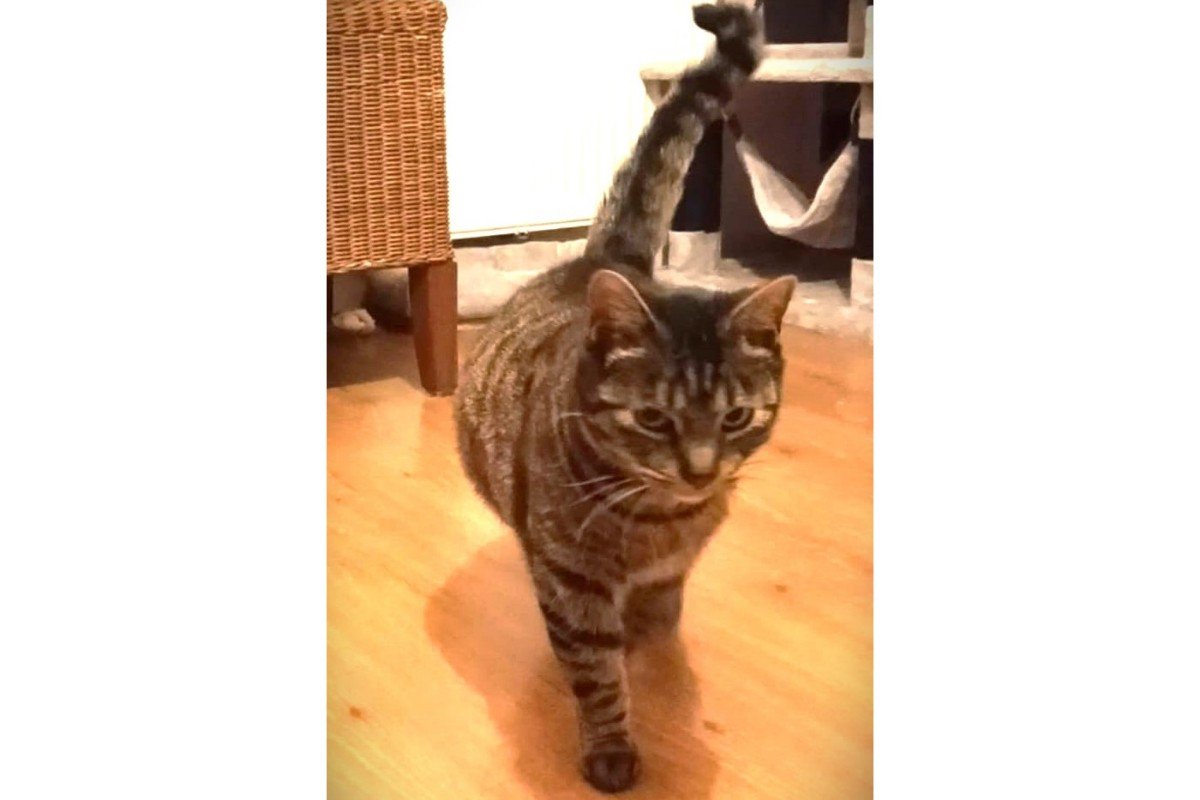 Meisje