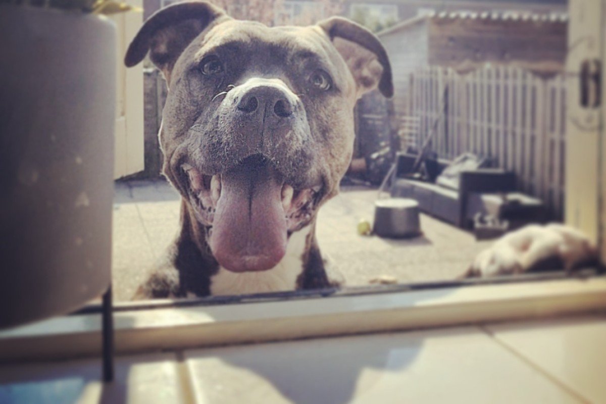 Roxy