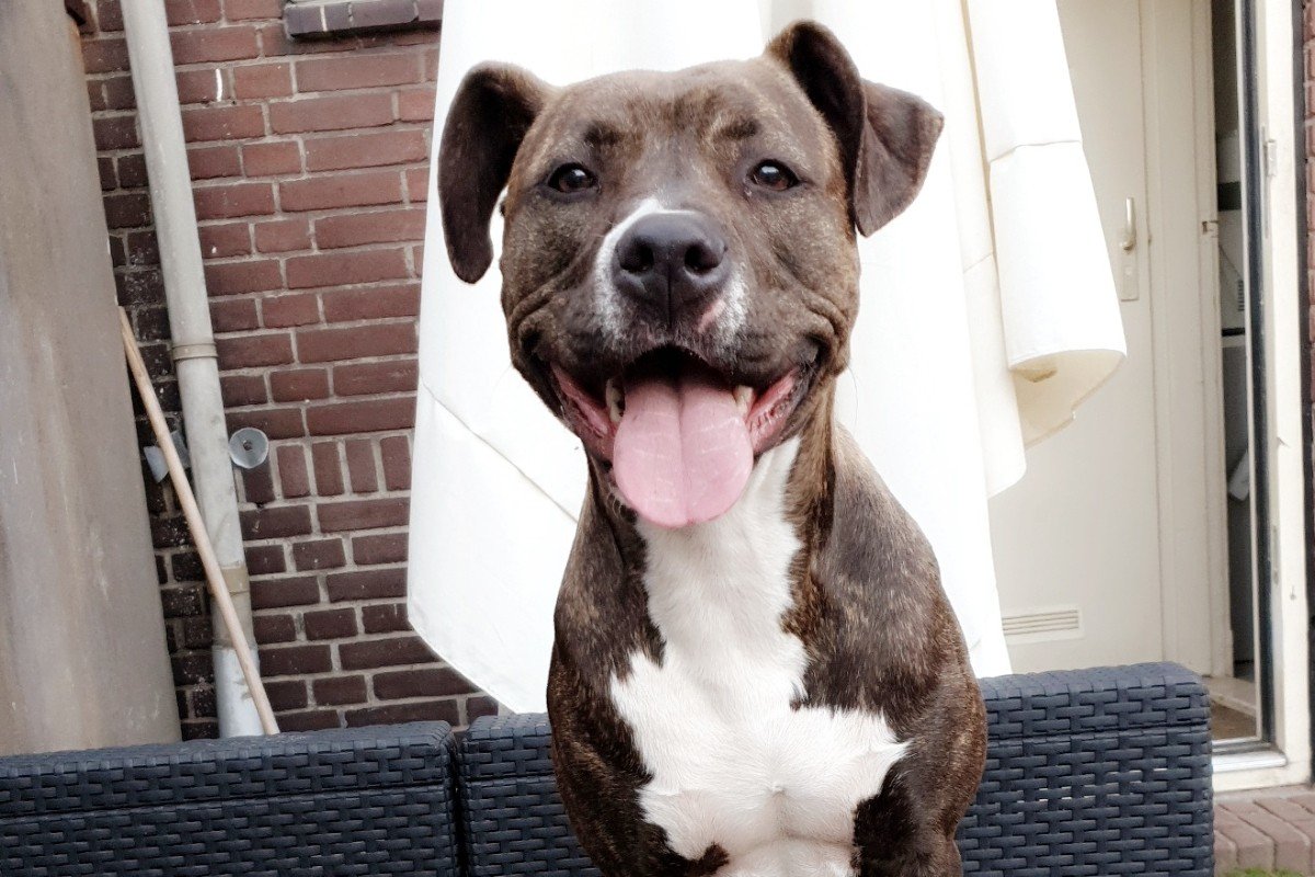 Roxy