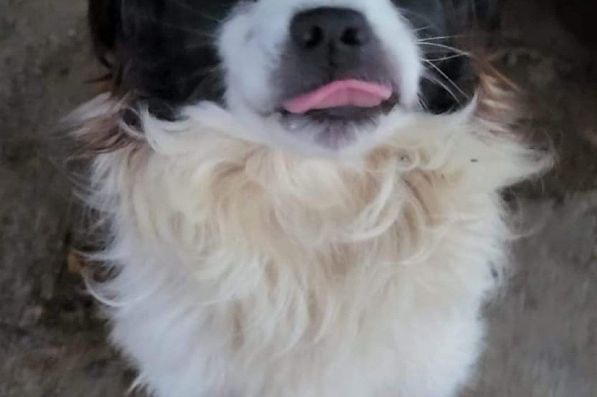 Buster