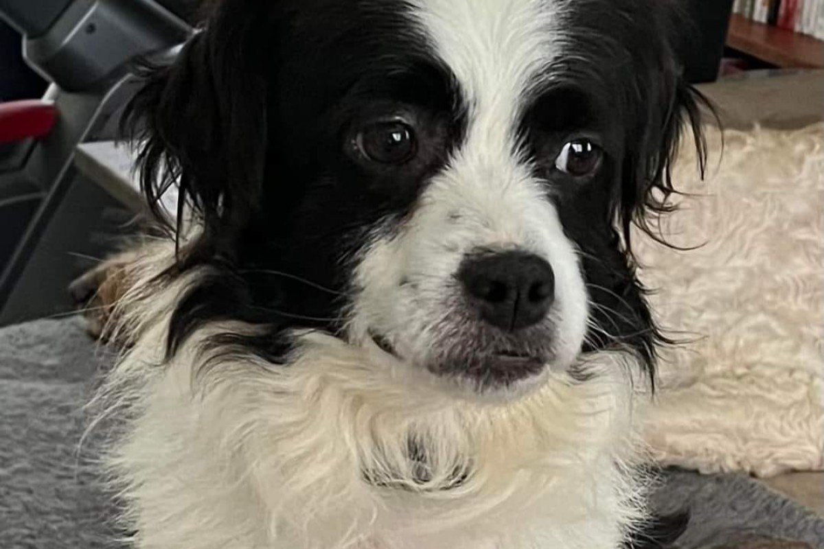 Buster