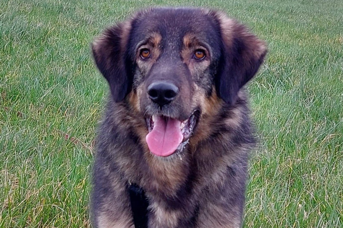 Suzi