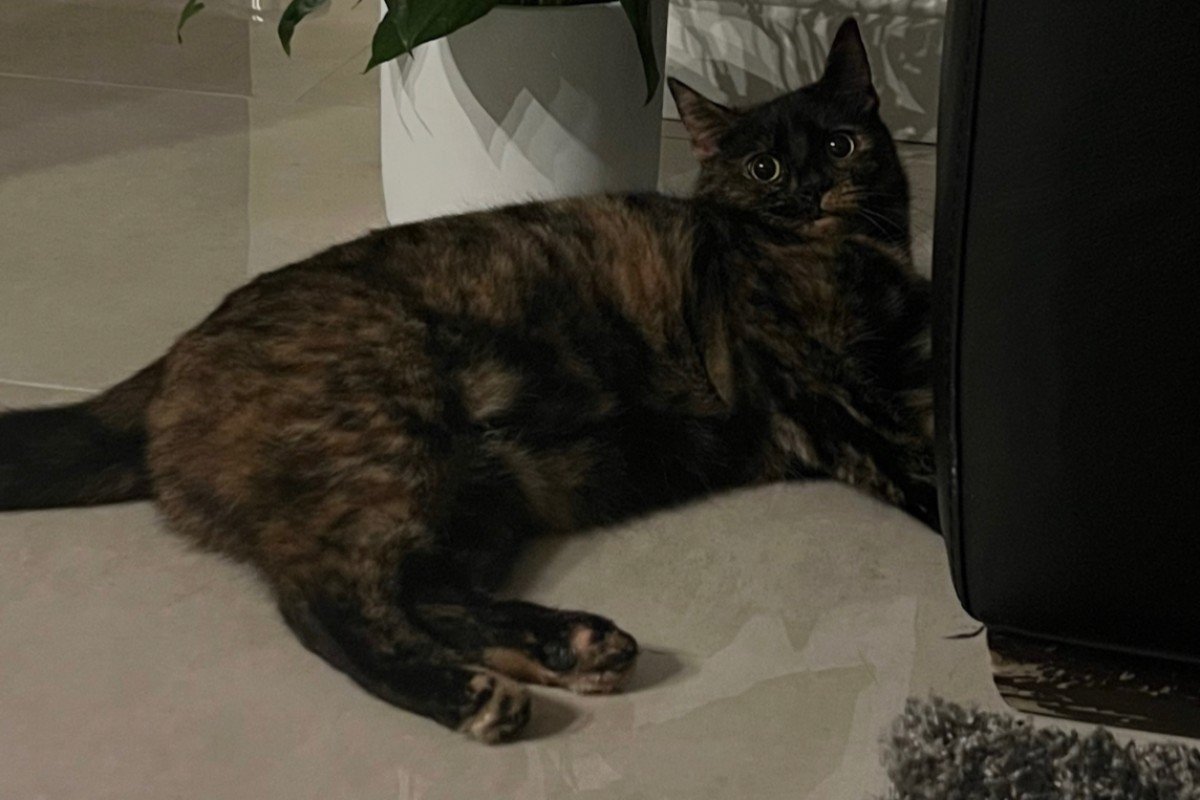 Noortje