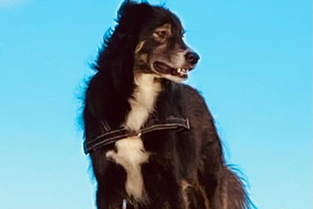 Mac
