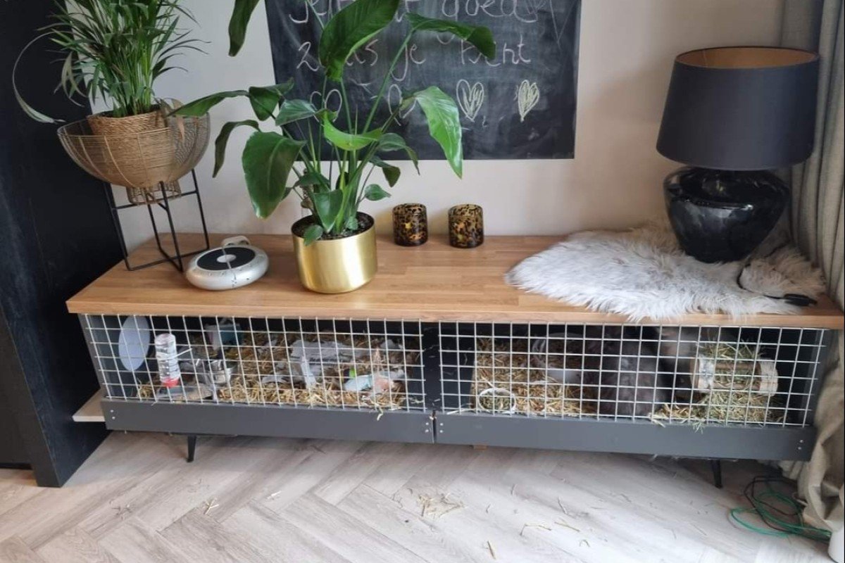 Jopie + Rosie