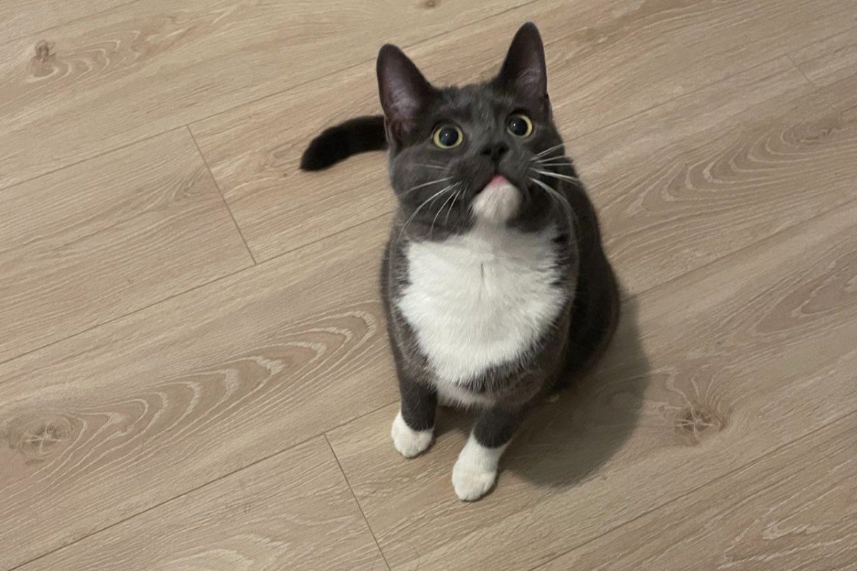 Agatha