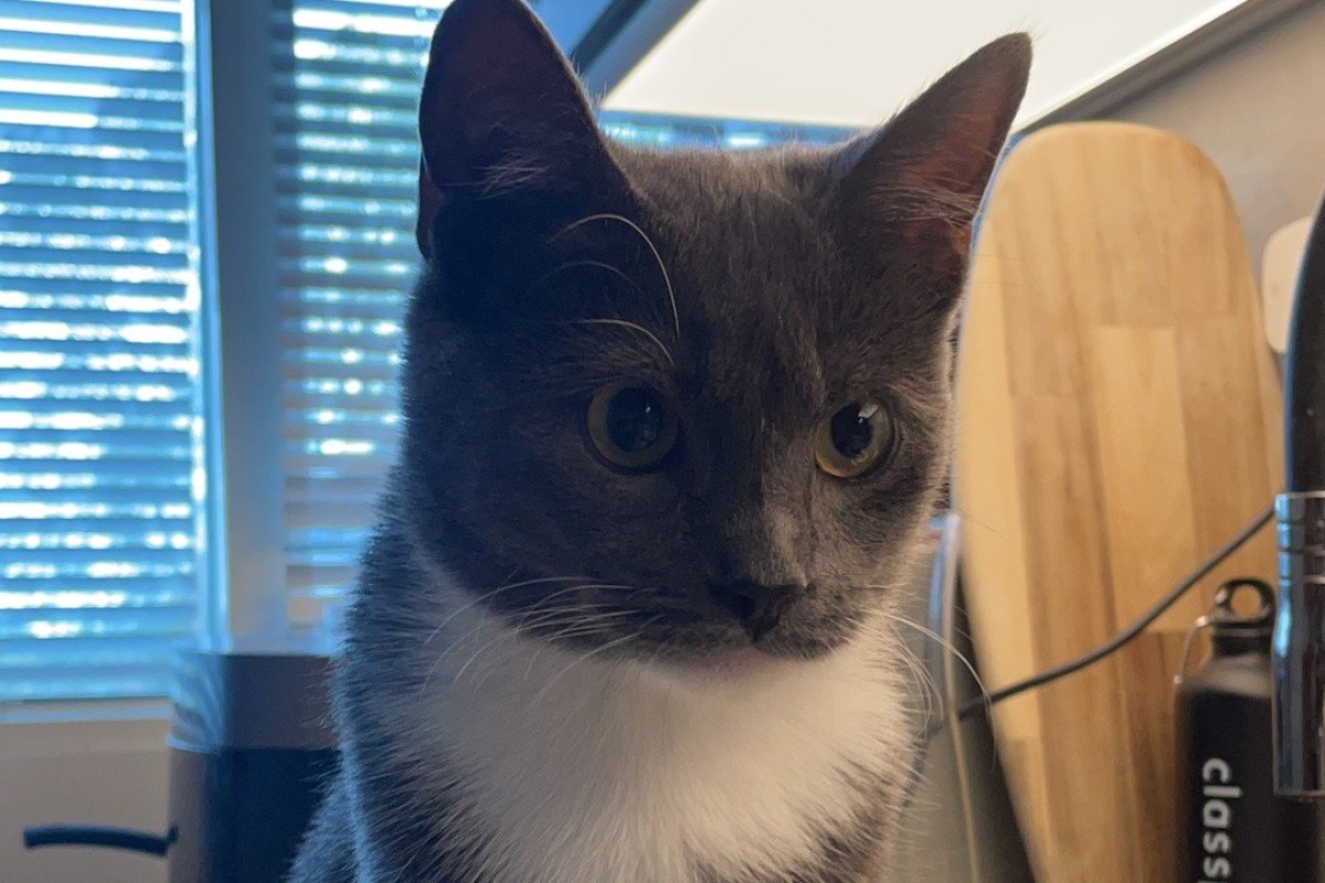 Agatha
