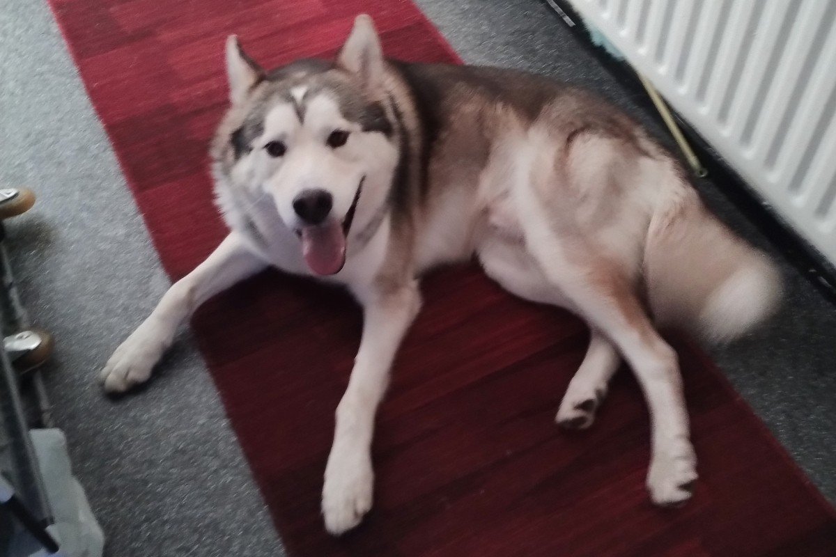 Oscar