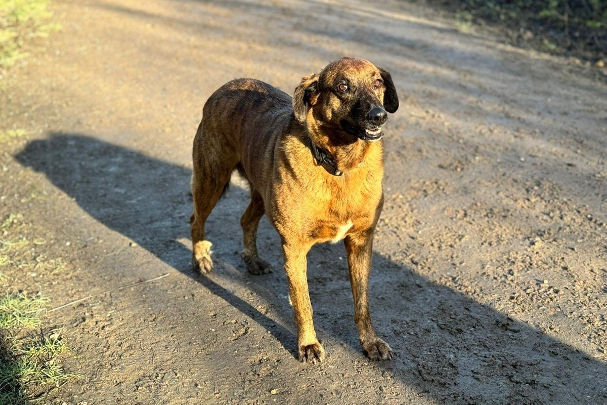 Thelma