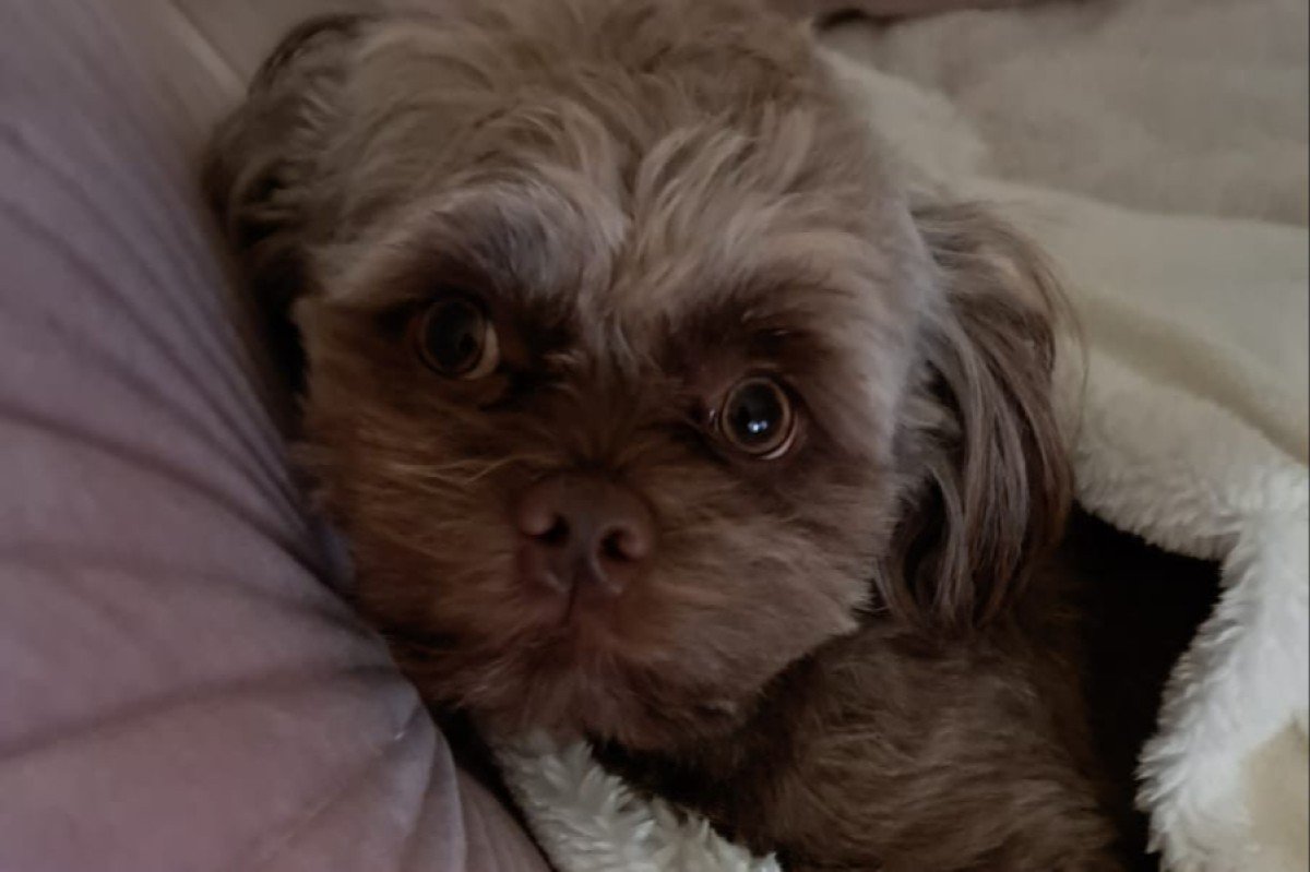 Binky