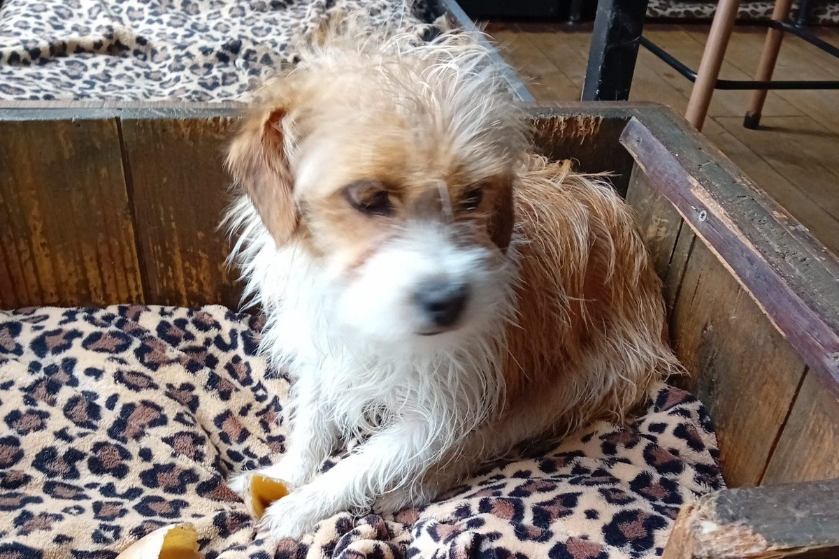 Sofie