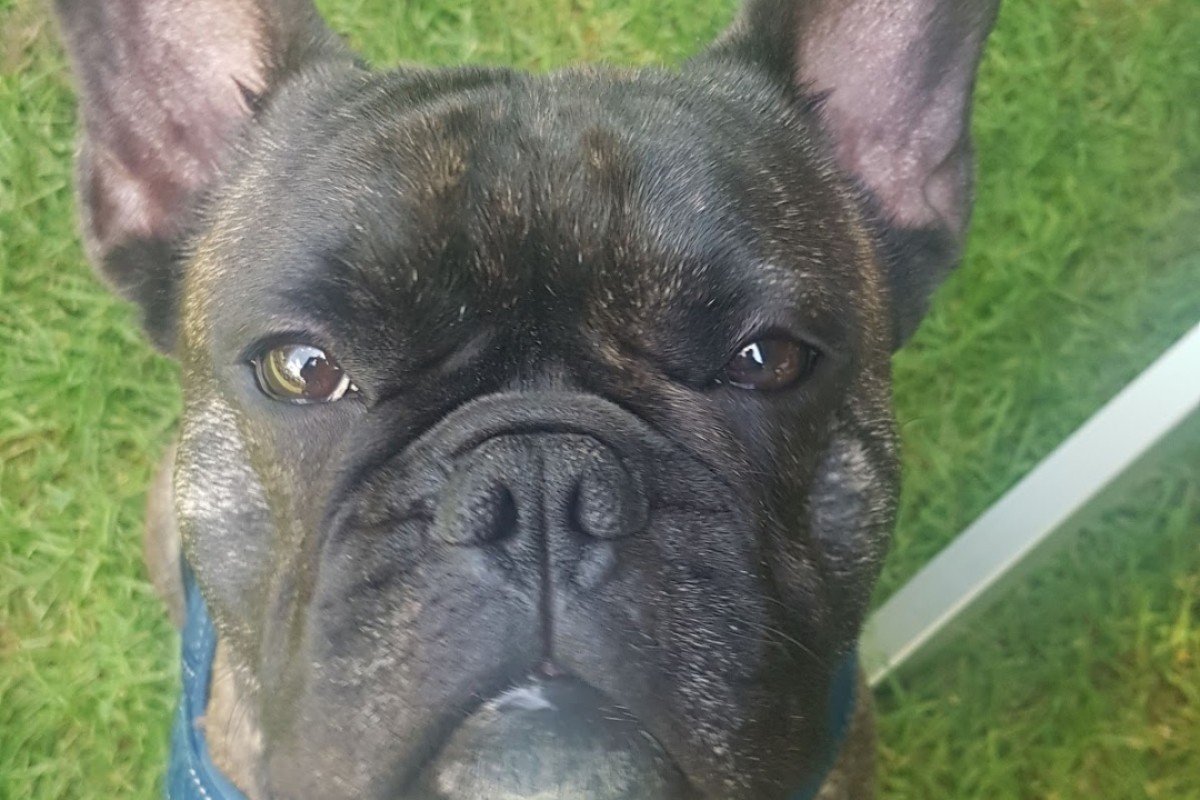 Marley