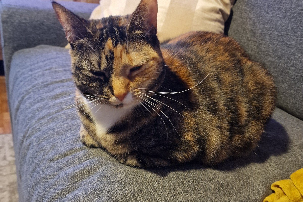 Koko