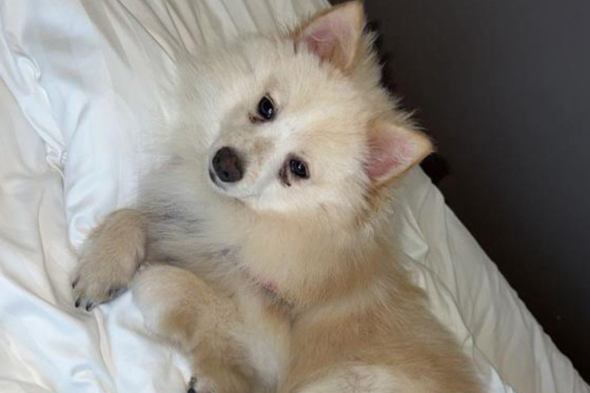 Milo