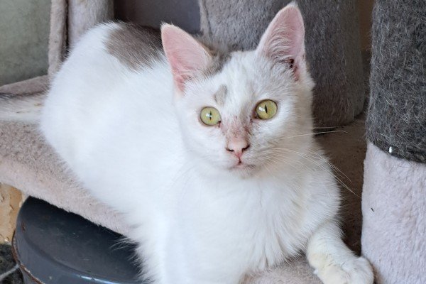 Miky