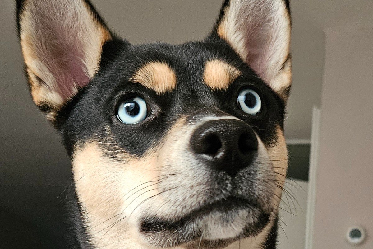 CJ