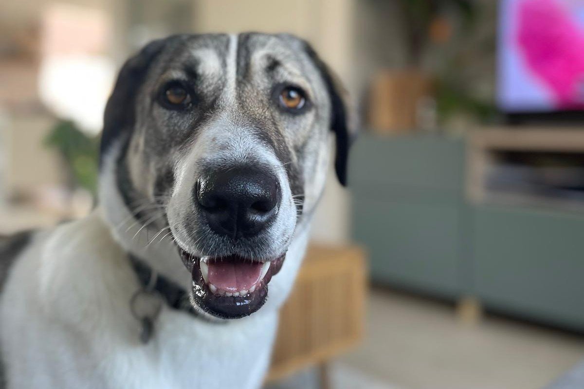 Milly