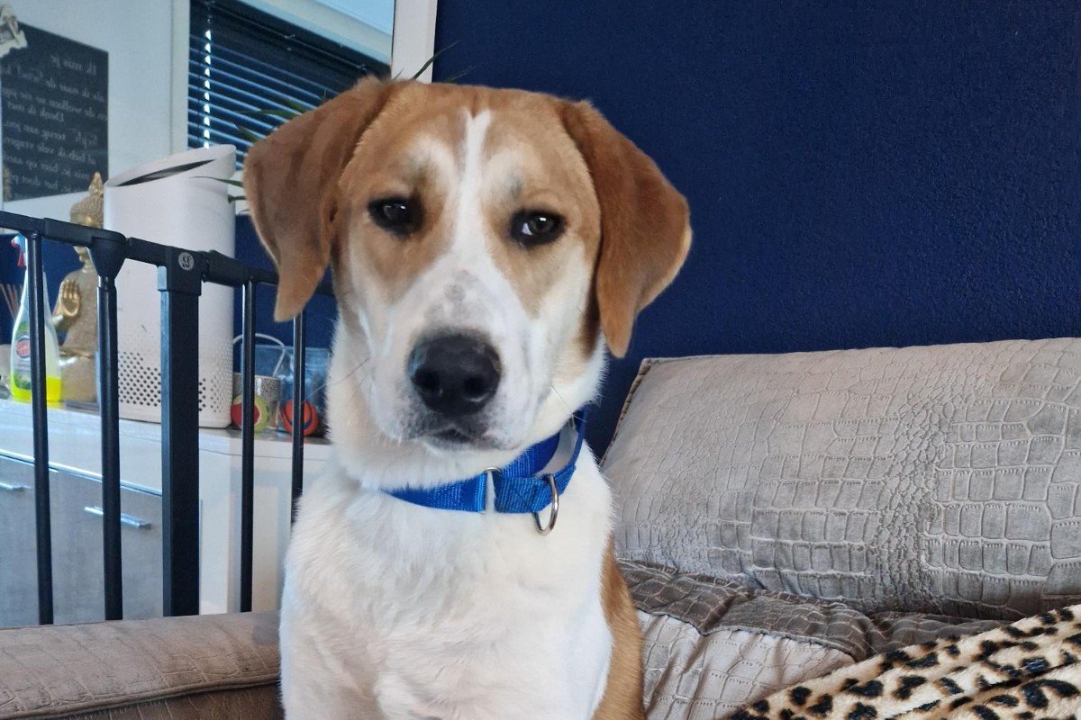 Duke