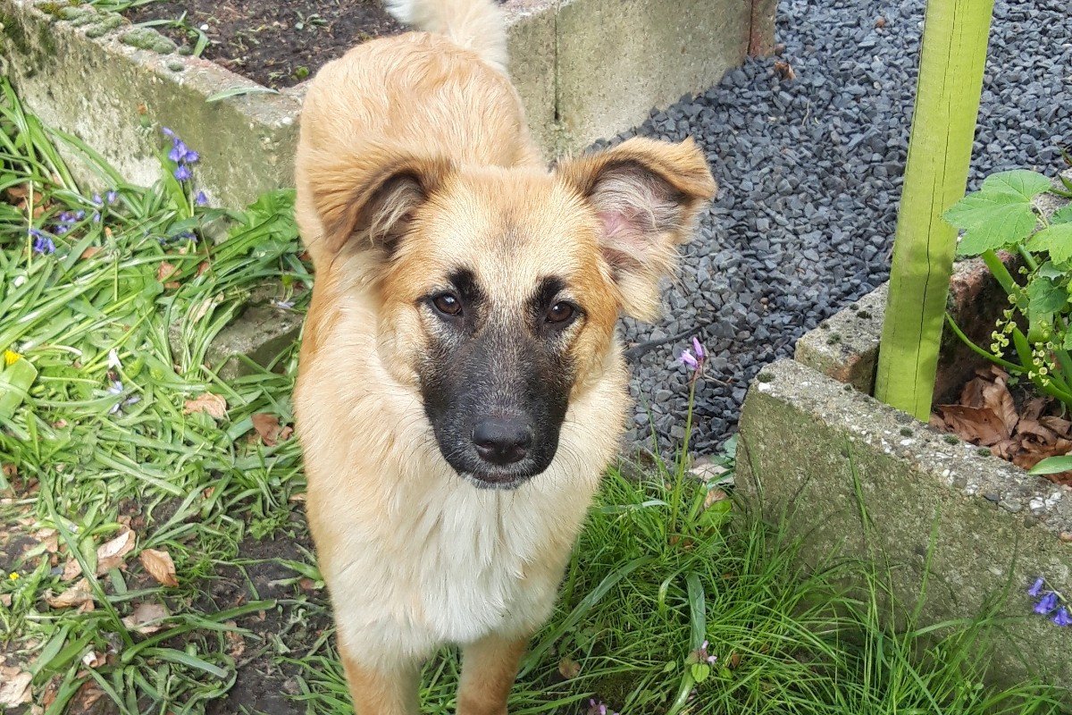 Bonnie