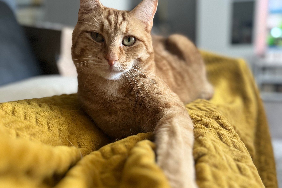 Milo